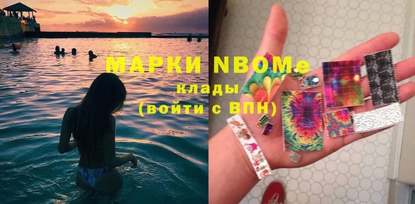 хмурый Алзамай