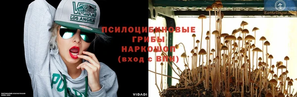 хмурый Алзамай